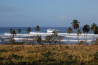 Yes, it's definitely waves out there at Tres Palmas.